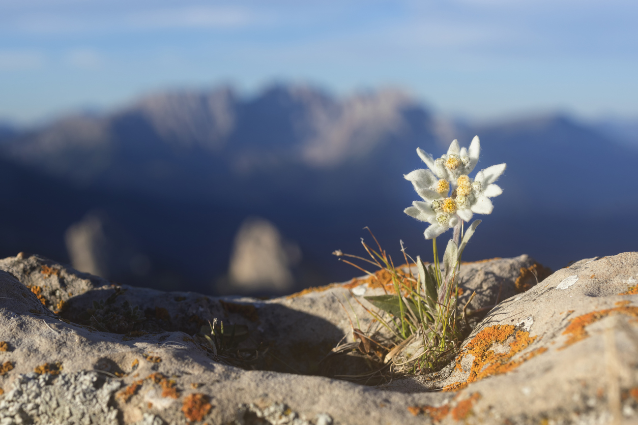 From Grit to Grace: Redefining High Performance for the Long Game