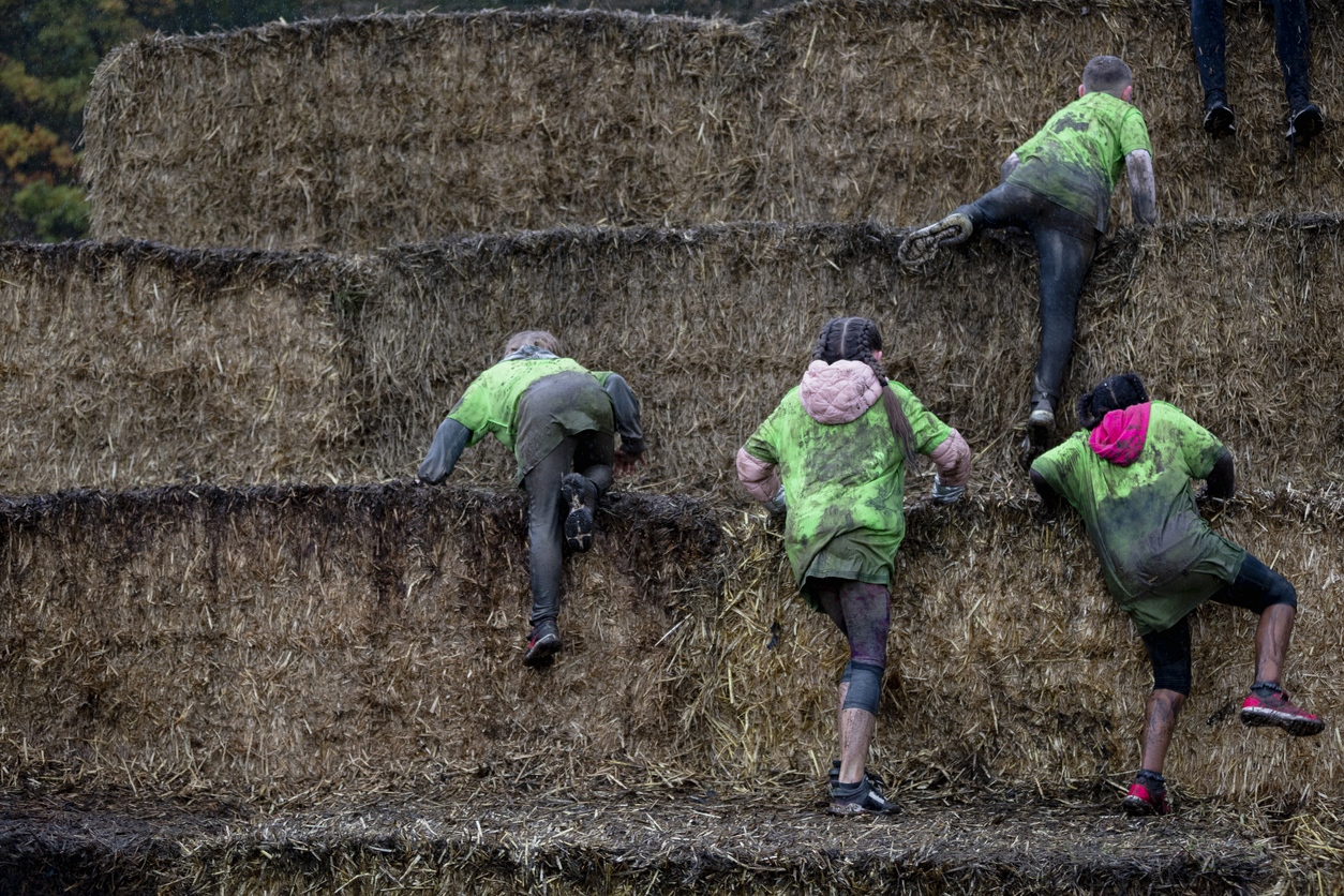 From Surviving to Thriving: How Resilience Shapes Organisational Performance